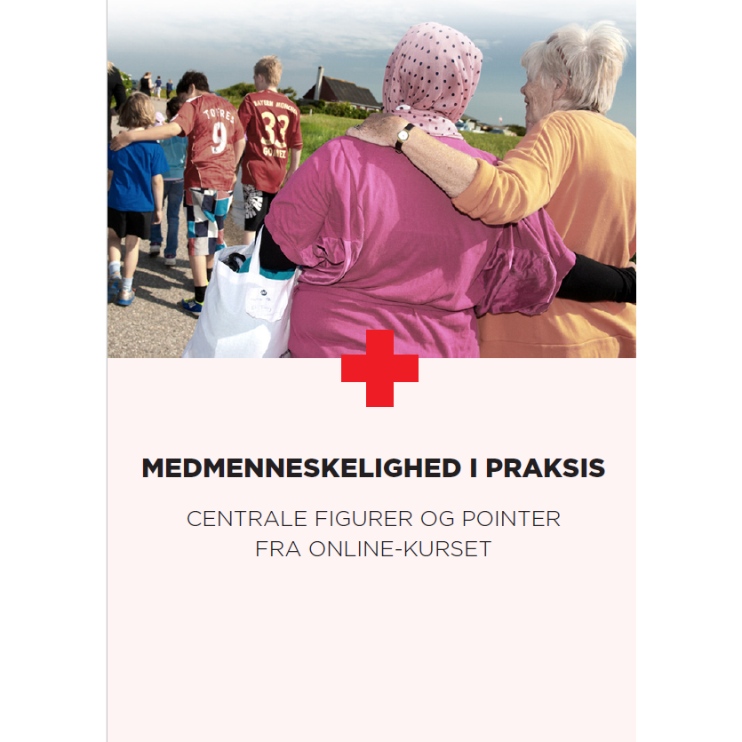 MIP - centrale figurer og pointer fra online-kurset